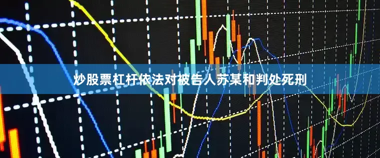 炒股票杠杆依法对被告人苏某和判处死刑
