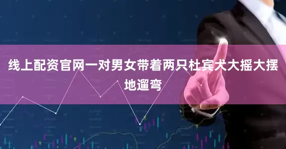 线上配资官网一对男女带着两只杜宾犬大摇大摆地遛弯