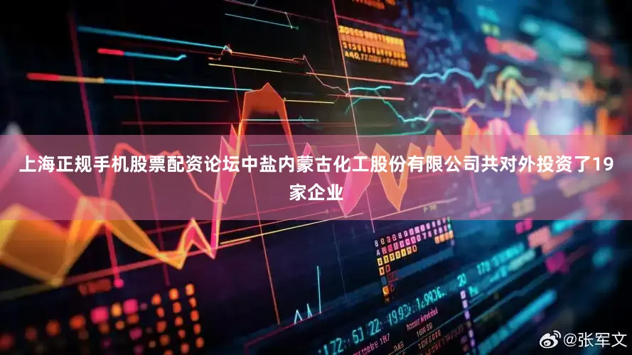 上海正规手机股票配资论坛中盐内蒙古化工股份有限公司共对外投资了19家企业